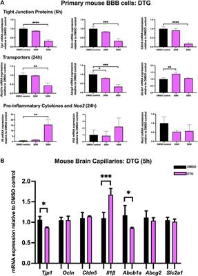 Antiretroviral drugs efavirenz, dolutegravir and bictegravir dysregulate blood-brain barrier integrity and function